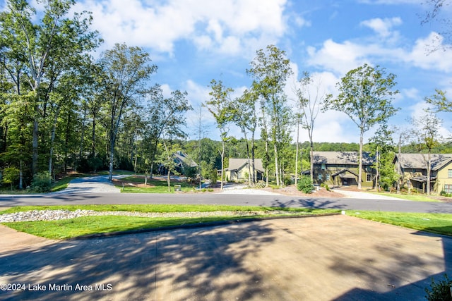 250 Old Jay Rd, Eclectic, AL 36024 - view of street with a residential view