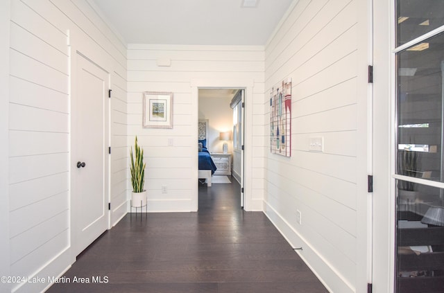 250 Old Jay Rd, Eclectic, AL 36024 - corridor with wood walls and dark wood-style floors