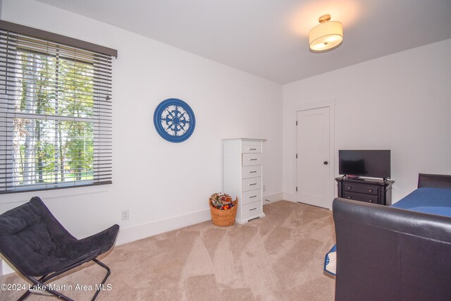 250 Old Jay Rd, Eclectic, AL 36024 - office space with carpet flooring and healthy amount of natural light