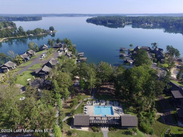 250 Old Jay Rd, Eclectic, AL 36024 - view of property location featuring a large body of water and a pool area