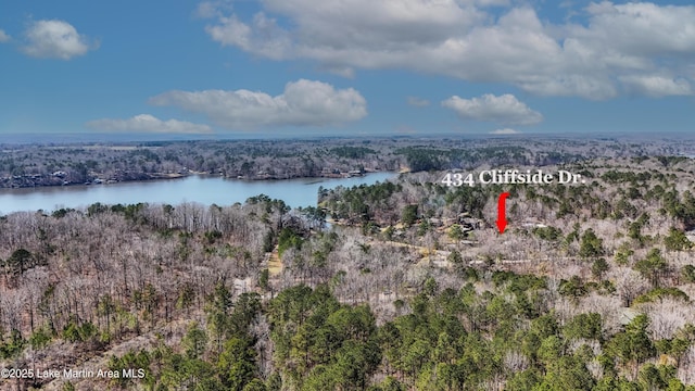 drone / aerial view with a forest view and a water view