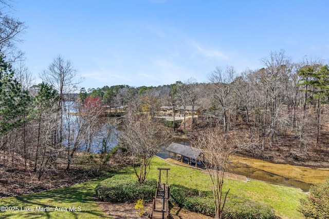 402 Cliffside Dr, Titus, AL 36080 - photo 8