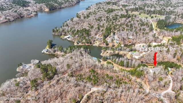 bird's eye view featuring a water view