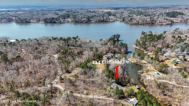 bird's eye view with a forest view and a water view