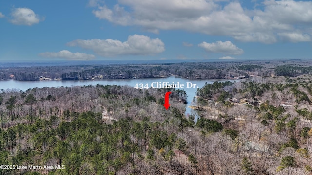 bird's eye view featuring a view of trees and a water view