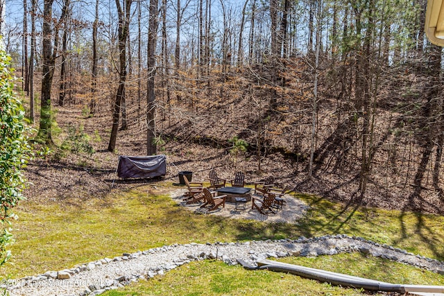 view of yard with a fire pit