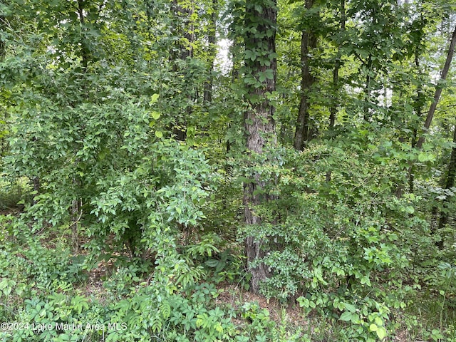 Address Not Disclosed, Alexander City AL, 35010 land for sale