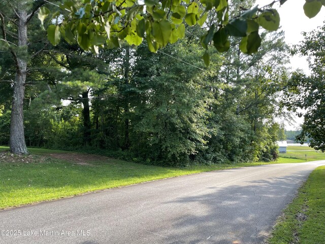 Mckelvey St, Dadeville, AL 36853