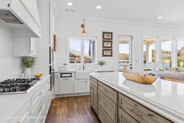 kitchen with sink, dark hardwood / wood-style floors, pendant lighting, appliances with stainless steel finishes, and ornamental molding