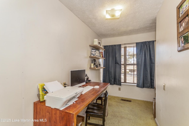 office space featuring light carpet and a textured ceiling