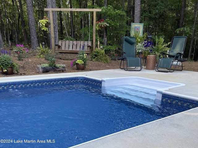 view of pool with a patio area