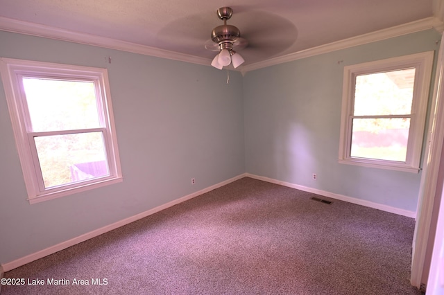 unfurnished room featuring carpet floors, baseboards, visible vents, a ceiling fan, and crown molding
