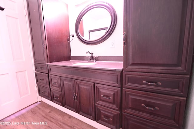 bathroom featuring wood finished floors and vanity