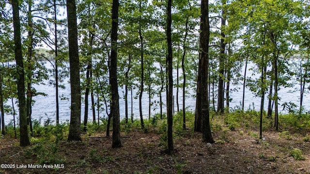 88 Heritage Pt S, Alexander City, AL 35010