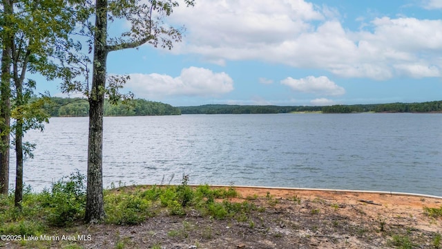 88 Heritage Pt S, Alexander City, AL 35010