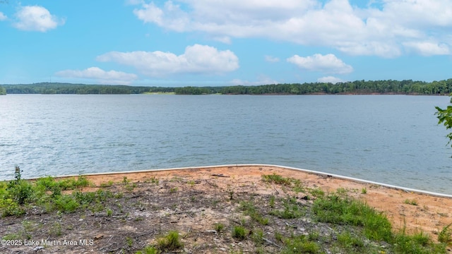 88 Heritage Pt S, Alexander City, AL 35010