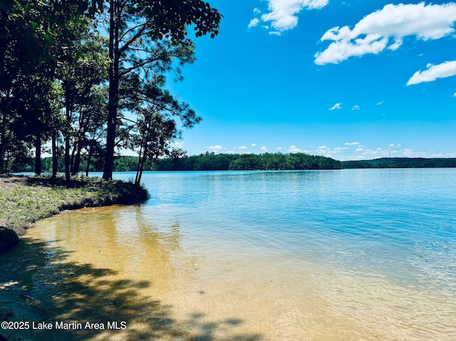 88 Heritage Pt S, Alexander City, AL 35010