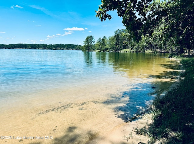 88 Heritage Pt S, Alexander City, AL 35010