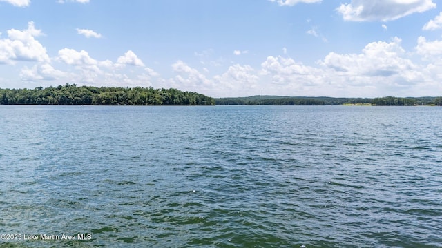 88 Heritage Pt S, Alexander City, AL 35010
