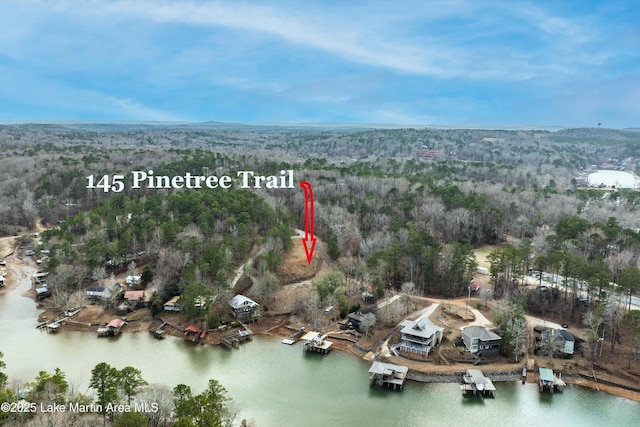 145 Pine Tree Cir, Dadeville AL, 36853 land for sale