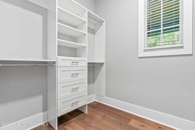 walk in closet with hardwood / wood-style flooring