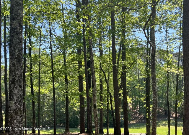 LOT5 Knollwood Dr, Dadeville, AL 36853 - photo 3