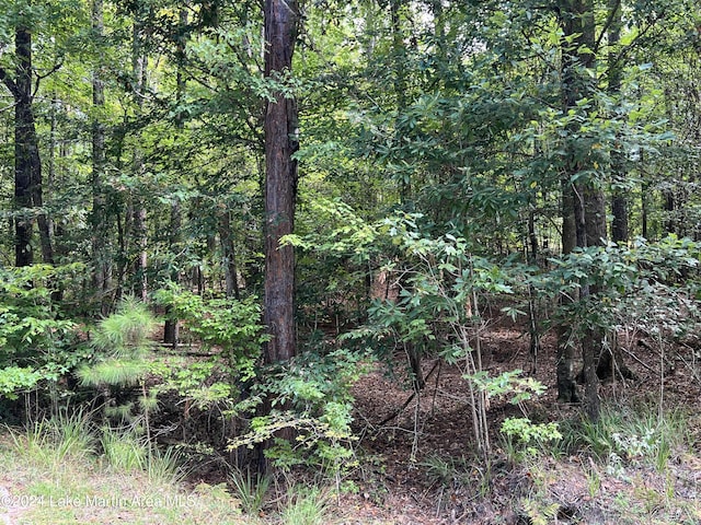 LOT5 Knollwood Dr, Dadeville AL, 36853 land for sale