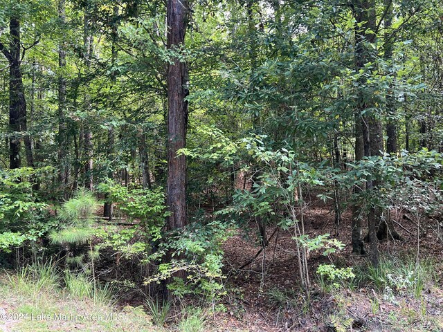 LOT5 Knollwood Dr, Dadeville, AL 36853 - photo 2