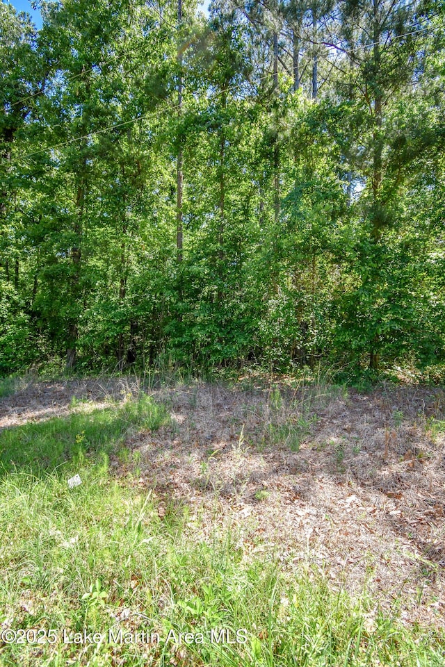 838 Bama Park Rd, Dadeville, AL 36853 - view of nature