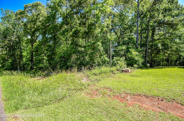 838 Bama Park Rd, Dadeville, AL 36853 - view of yard