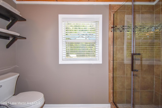838 Bama Park Rd, Dadeville, AL 36853 - bathroom with a stall shower and toilet
