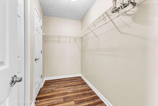 741 Lakeview Rdg, Dadeville, AL 36853 - spacious closet with dark wood-style floors