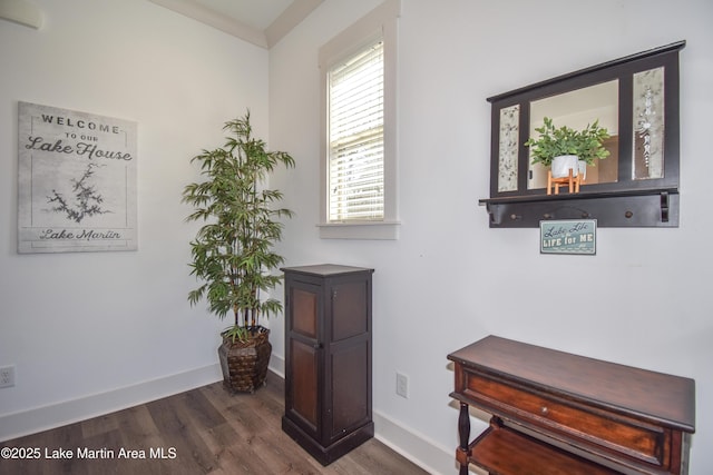 37 Landing Pt, Dadeville, AL 36853 - photo 7