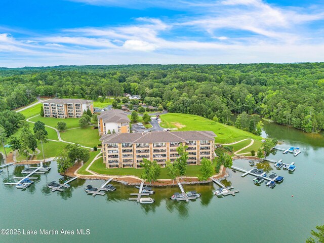 64 Stoneview Summit Ct Unit 5206, Dadeville, AL 36853 - aerial view of a forest and a nearby body of water