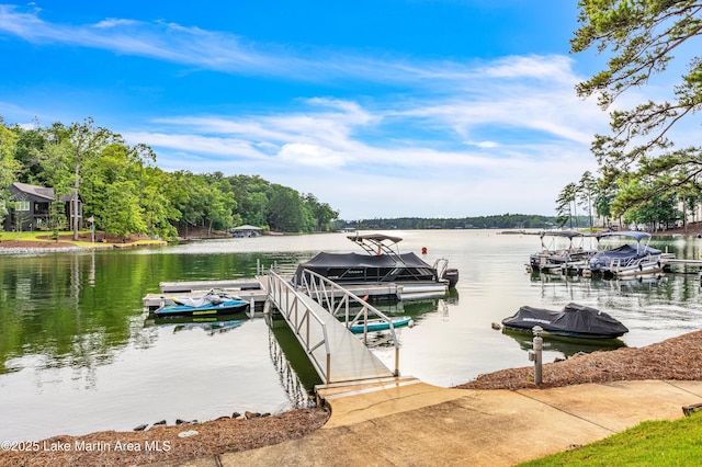 64 Stoneview Summit Ct Unit 5206, Dadeville, AL 36853 - dock area featuring a water view