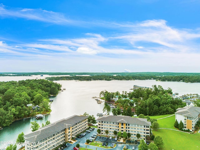 64 Stoneview Summit Ct Unit 5206, Dadeville, AL 36853 - aerial view of a large body of water