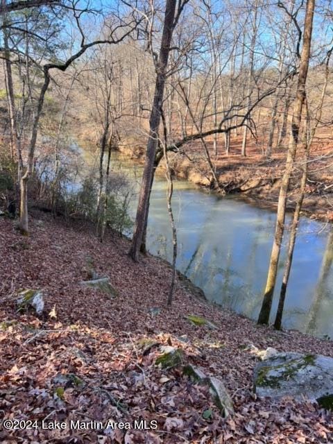 Listing photo 2 for Sand Pit Rd, Alexander City AL 35010