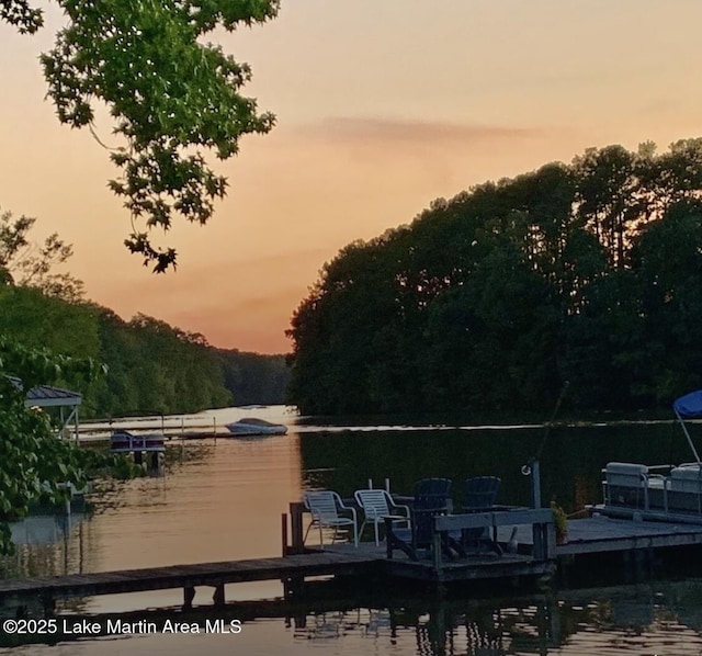 32 Dennis Creek Cir, Jacksons Gap, AL 36861 - dock area featuring a water view and a forest view