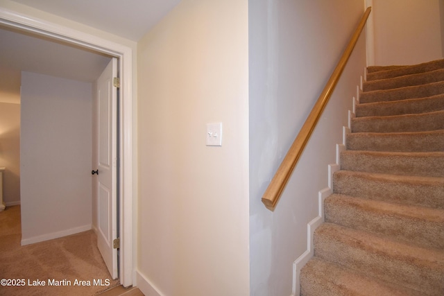 staircase featuring carpet floors
