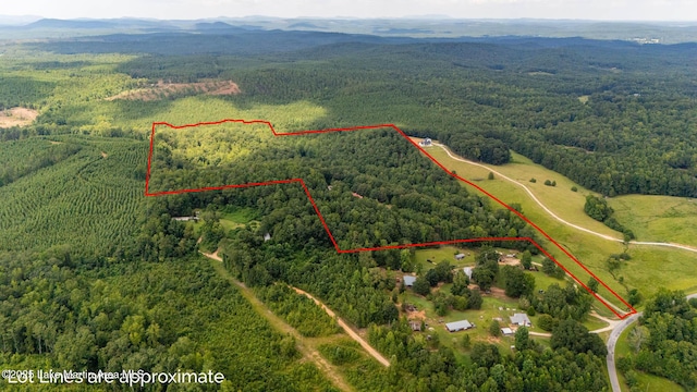 200 Saxon Creek Rd, Goodwater, AL 35072 - photo 17