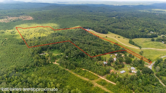 200 Saxon Creek Rd, Goodwater, AL 35072 - photo 19