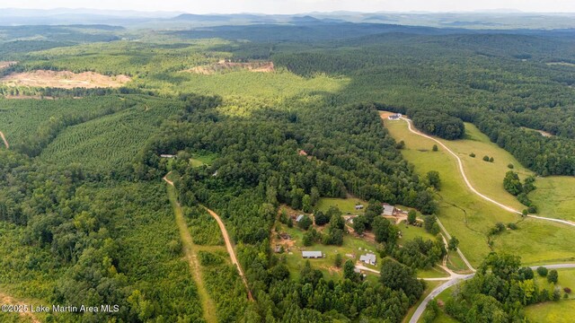 200 Saxon Creek Rd, Goodwater, AL 35072 - photo 16