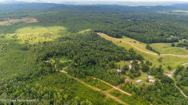 200 Saxon Creek Rd, Goodwater, AL 35072 - photo 20
