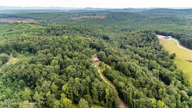 200 Saxon Creek Rd, Goodwater, AL 35072 - photo 41