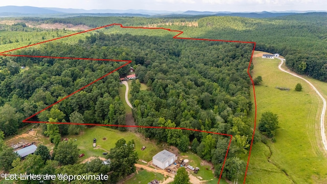 200 Saxon Creek Rd, Goodwater, AL 35072 - photo 11
