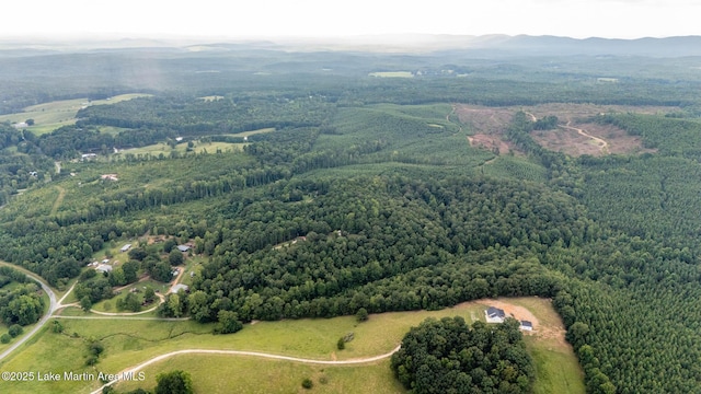 200 Saxon Creek Rd, Goodwater, AL 35072 - photo 26