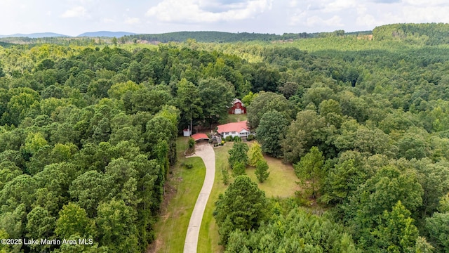 200 Saxon Creek Rd, Goodwater, AL 35072 - photo 10