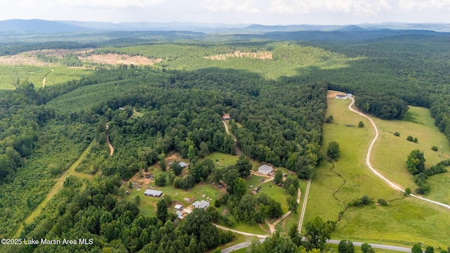 200 Saxon Creek Rd, Goodwater, AL 35072 - photo 14