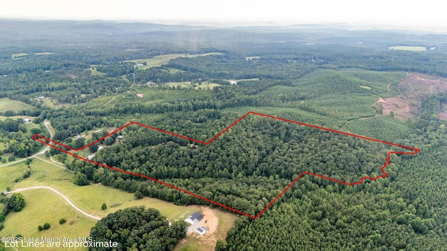 200 Saxon Creek Rd, Goodwater, AL 35072 - photo 27