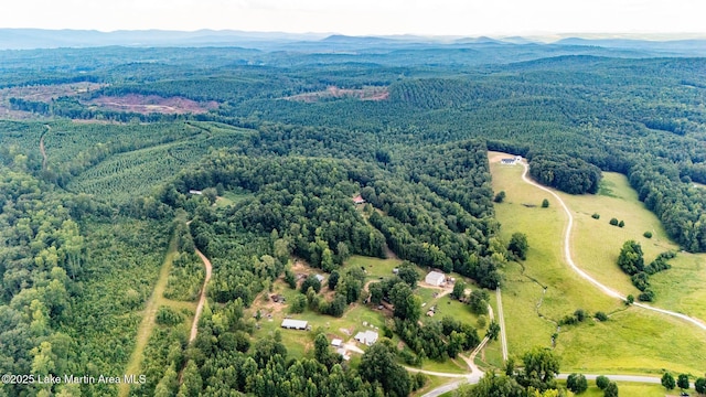 200 Saxon Creek Rd, Goodwater, AL 35072 - photo 38